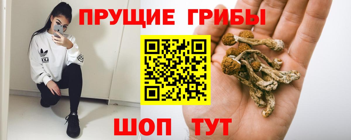 Галлюциногенные грибы Cubensis  Вход с VPN  Каменск-Уральский 